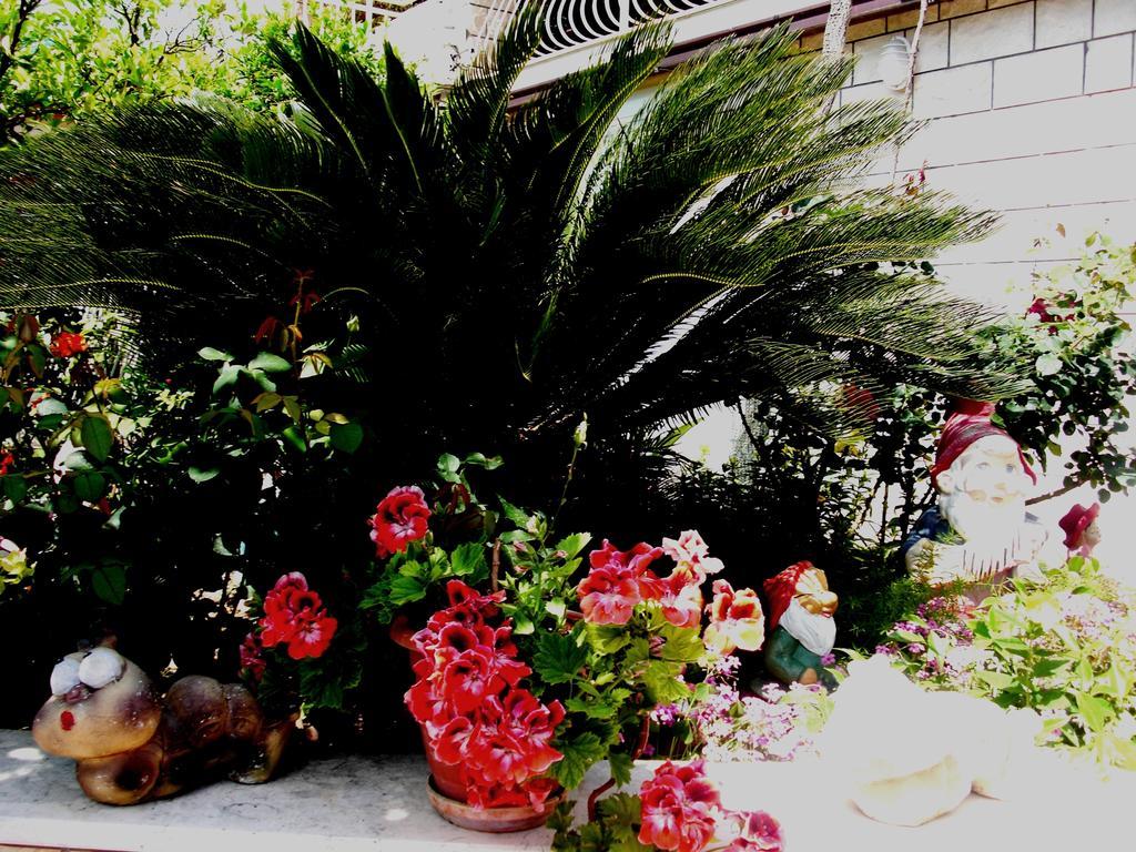 Hotel House Jelena Mlini Exterior foto